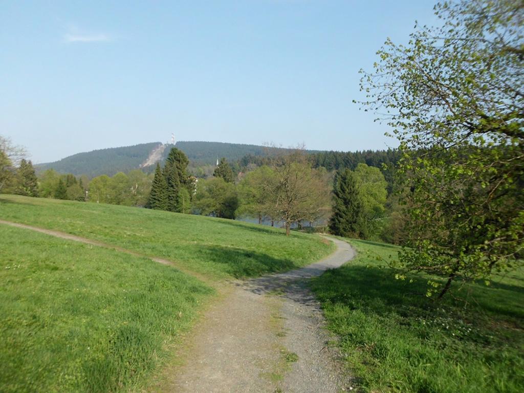 Premium-Ferienwohnungen Bergblick Im Haus Hopfe Goslar Exterior foto